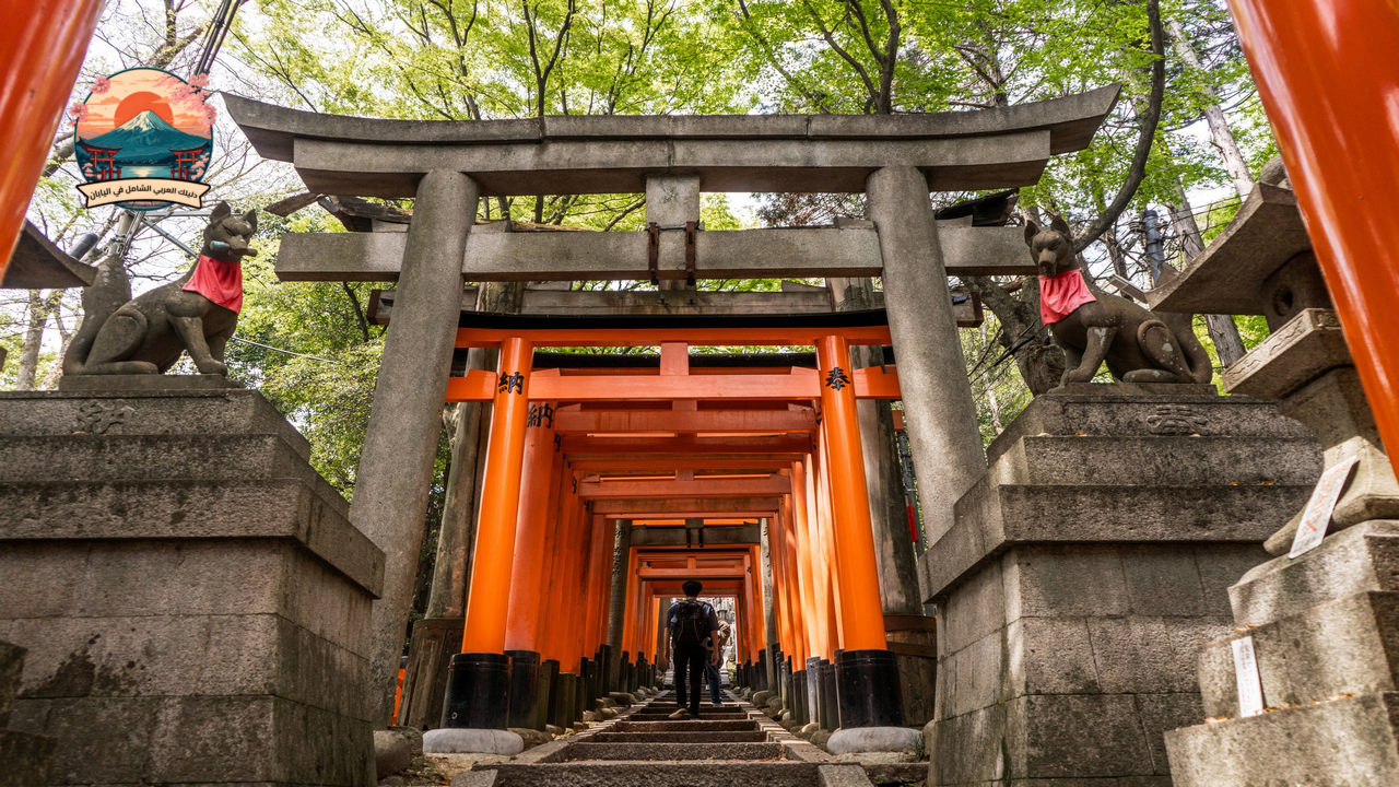 أجمل المعابد القديمة في اليابان معبد فوشيمي إناري تايشا (Fushimi Inari Taisha)