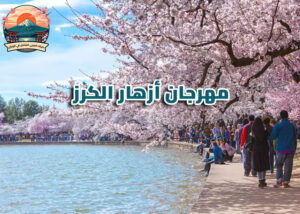 مهرجان أزهار الكرز