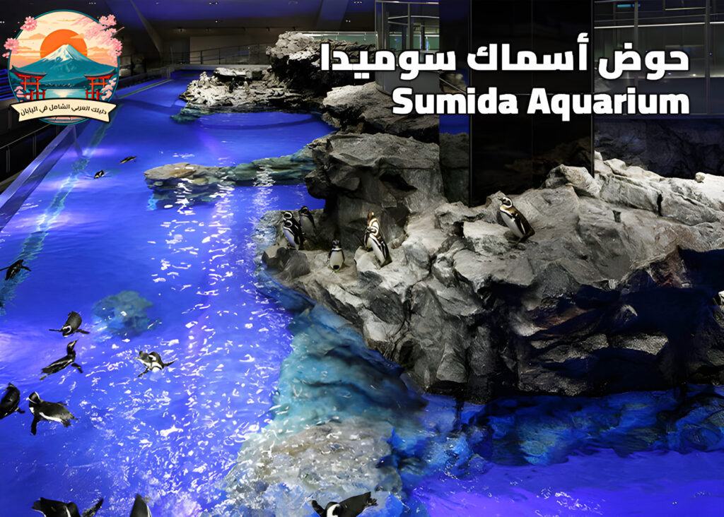 حوض أسماك سوميدا: