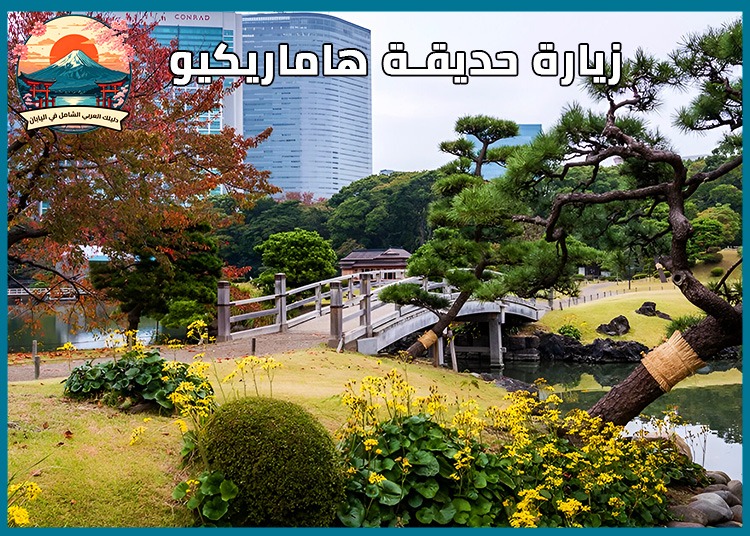 رحلة إلى حديقة هاماريكيو 2025 : حدائق تقليدية على الواجهة البحرية