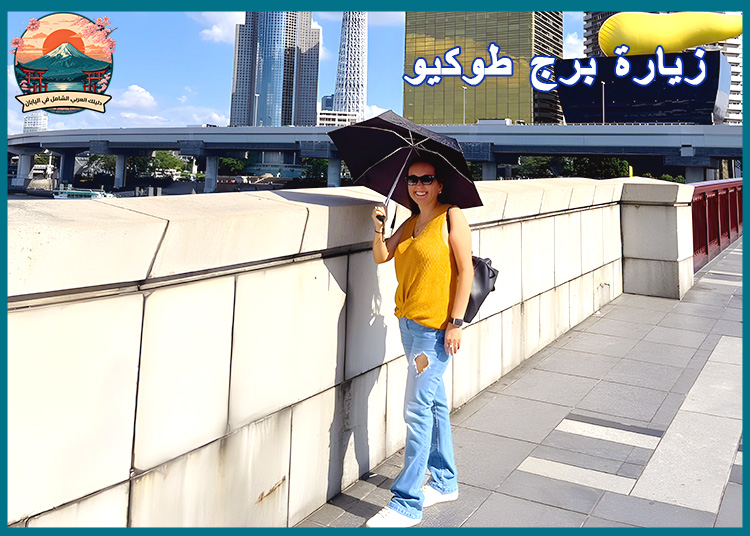 برنامج سياحي فاخر في اليابان: 7 أيام من الفخامة والثقافة والتجارب الرقمية