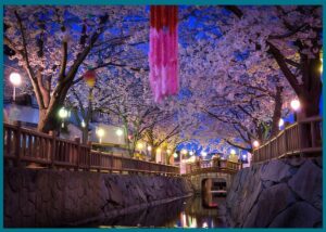 اليابان كما لم تتخيلها: حقائق عن اليابان تُدهش كل مسافر عربي