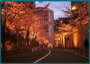 أحياء طوكيو التي لا تنام: هل تجرؤ على اكتشافها؟