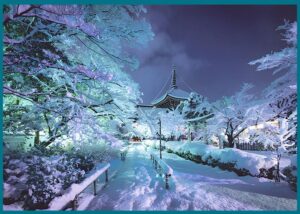 منظر الطبيعة في اليابان كل فصل: الألوان التي تتغيّر أربع مرات في العام