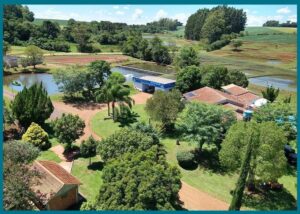 شهر العسل في اليابان بعيدًا عن الوجهات التقليدية