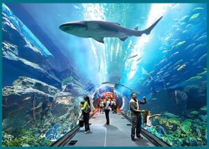 أفضل أنشطة الأطفال في اليابان للعرب