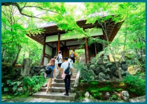 أفضل مرشد سياحي في اليابان: كيف تختار الدليل المناسب لرحلتك؟