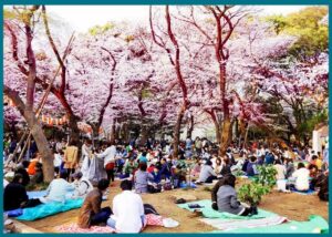 برنامج سياحي في طوكيو: خطة متكاملة لزيارة أهم الأماكن