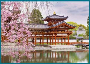 جولة في طوكيو مع مرشد عربي: تجربة مريحة لاكتشاف أشهر المعالم