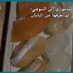 من الساموراي إلى السوشي: أسرار لم تعرفها عن اليابان