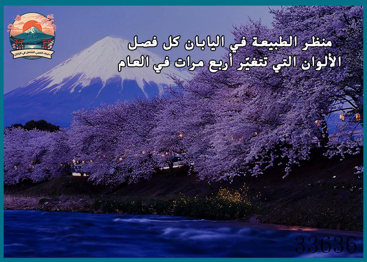 منظر الطبيعة في اليابان كل فصل: الألوان التي تتغيّر أربع مرات في العام