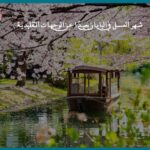 شهر العسل في اليابان بعيدًا عن الوجهات التقليدية