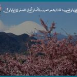 الأمان في اليابان للعرب: لماذا يشعر العرب بالأمان أثناء السفر إلى اليابان؟