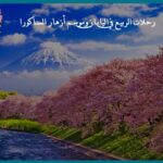 رحلات الربيع في اليابان وموسم أزهار الساكورا
